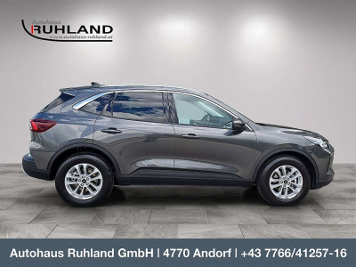Ford Kuga Vorführwagen