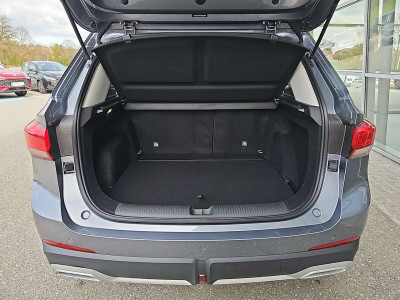MG ZS Tageszulassung