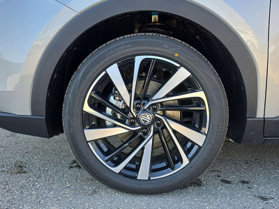 MG ZS Tageszulassung