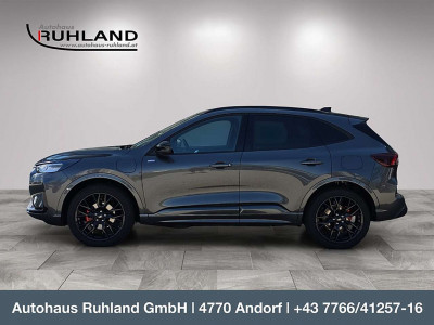 Ford Kuga Neuwagen Ford Kuga Neuwagen