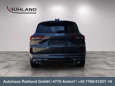 Ford Kuga Neuwagen Ford Kuga Neuwagen