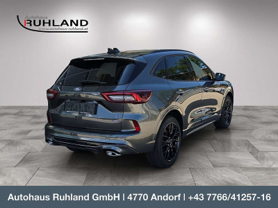 Ford Kuga Neuwagen Ford Kuga Neuwagen