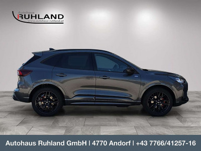 Ford Kuga Neuwagen Ford Kuga Neuwagen