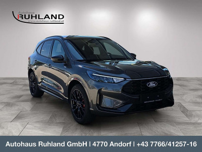 Ford Kuga Neuwagen Ford Kuga Neuwagen