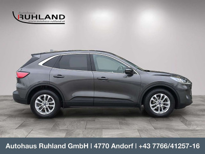 Ford Kuga Gebrauchtwagen Ford Kuga Gebrauchtwagen