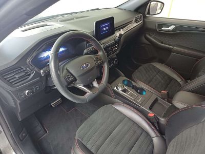 Ford Kuga Gebrauchtwagen