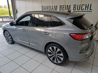 Ford Kuga Gebrauchtwagen