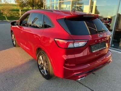 Ford Kuga Gebrauchtwagen