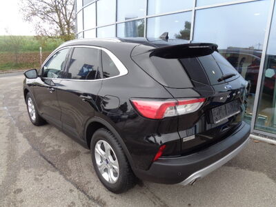 Ford Kuga Gebrauchtwagen