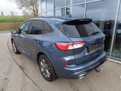 Ford Kuga Gebrauchtwagen