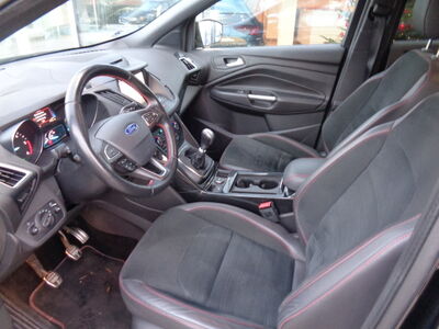 Ford Kuga Gebrauchtwagen