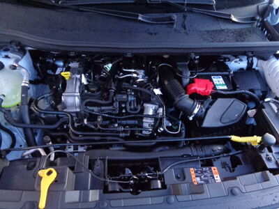 Ford Transit Courier Neuwagen