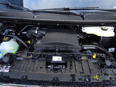 Ford Tourneo Custom Vorführwagen