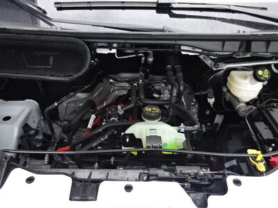 Ford Transit Vorführwagen