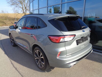 Ford Kuga Gebrauchtwagen