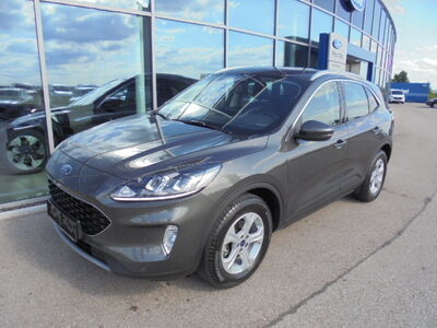 Ford Kuga Gebrauchtwagen