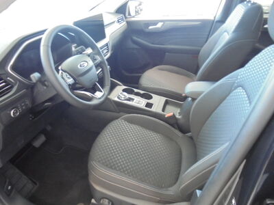 Ford Kuga Vorführwagen