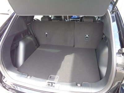 Ford Kuga Vorführwagen