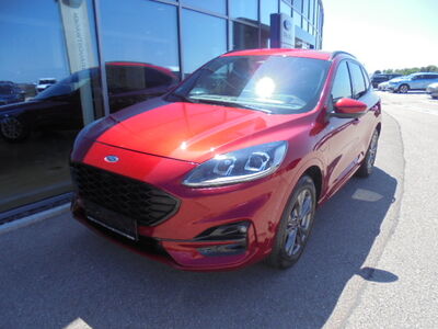 Ford Kuga Gebrauchtwagen