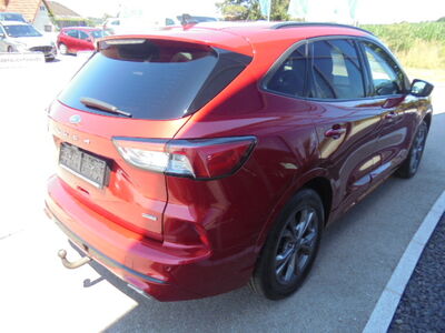 Ford Kuga Gebrauchtwagen