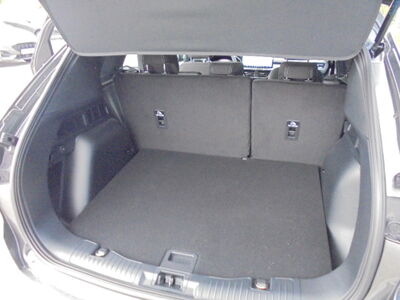 Ford Kuga Vorführwagen