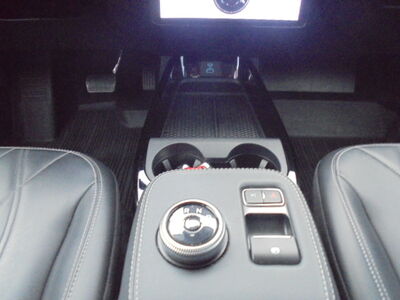 Ford Mustang Mach-E Gebrauchtwagen Ford Mustang Mach-E Gebrauchtwagen