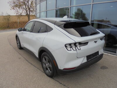 Ford Mustang Mach-E Gebrauchtwagen Ford Mustang Mach-E Gebrauchtwagen