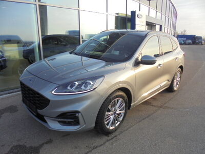 Ford Kuga Gebrauchtwagen