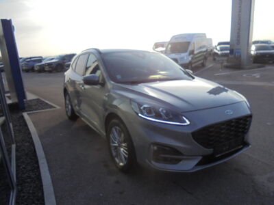 Ford Kuga Gebrauchtwagen