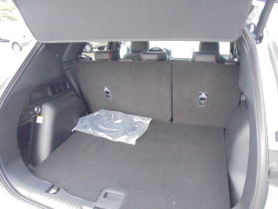 Ford Kuga Neuwagen Ford Kuga Neuwagen