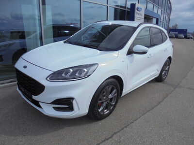 Ford Kuga Gebrauchtwagen