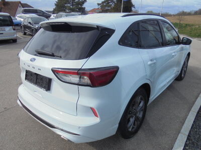 Ford Kuga Gebrauchtwagen