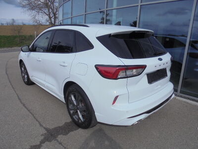 Ford Kuga Gebrauchtwagen