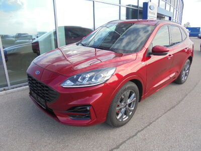 Ford Kuga Gebrauchtwagen