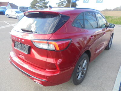 Ford Kuga Gebrauchtwagen