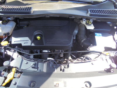 Ford Kuga Gebrauchtwagen