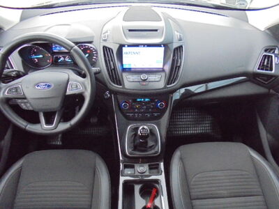 Ford Kuga Gebrauchtwagen