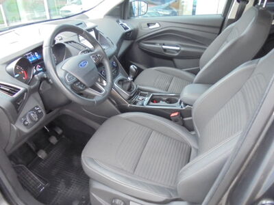 Ford Kuga Gebrauchtwagen