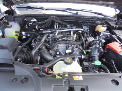Ford Ranger Neuwagen Ford Ranger Neuwagen