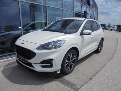 Ford Kuga Gebrauchtwagen