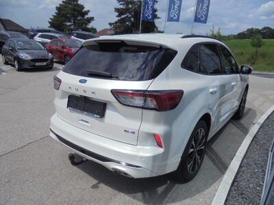 Ford Kuga Gebrauchtwagen