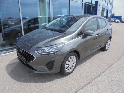 Ford Fiesta Gebrauchtwagen Ford Fiesta Gebrauchtwagen