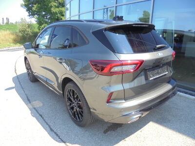Ford Kuga Neuwagen