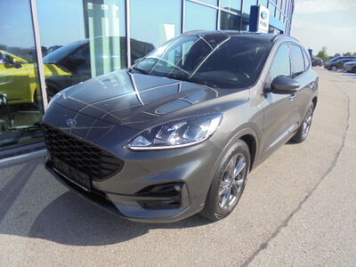 Ford Kuga Gebrauchtwagen Ford Kuga Gebrauchtwagen