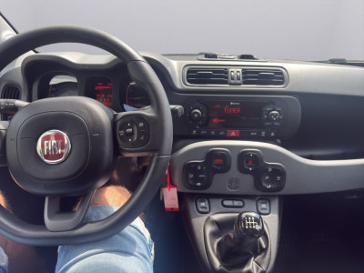 Fiat Panda Gebrauchtwagen Fiat Panda Gebrauchtwagen