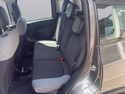 Fiat Panda Gebrauchtwagen Fiat Panda Gebrauchtwagen