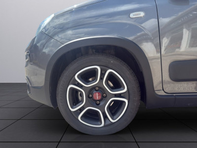 Fiat Panda Gebrauchtwagen Fiat Panda Gebrauchtwagen