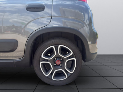 Fiat Panda Gebrauchtwagen Fiat Panda Gebrauchtwagen