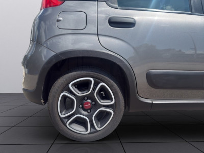 Fiat Panda Gebrauchtwagen Fiat Panda Gebrauchtwagen