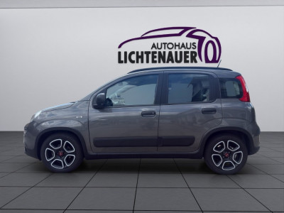 Fiat Panda Gebrauchtwagen Fiat Panda Gebrauchtwagen